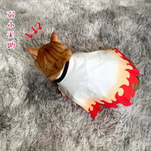 Load image into Gallery viewer, Demon Slayer Pet Cosplay
